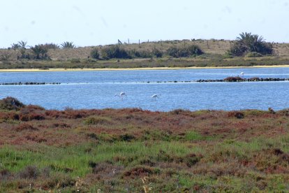 Humedal de Las Salinas.