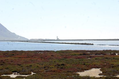 Humedal de Las Salinas.