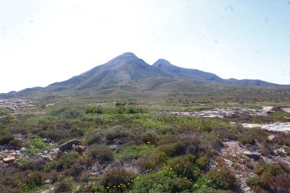 Paisaje de Los Escullos.