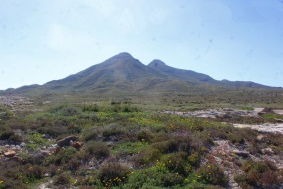Paisaje de Los Escullos.