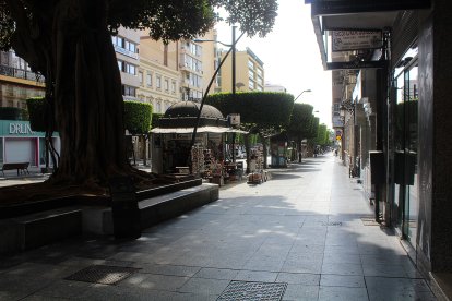 Paseo de Almería a la altura del ficus.