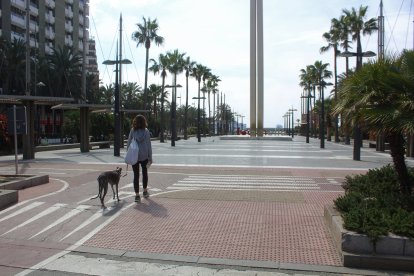 Aspecto de la zona peatonal de la Rambla.