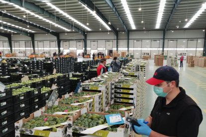 Subasta en los Partidores de CASI.