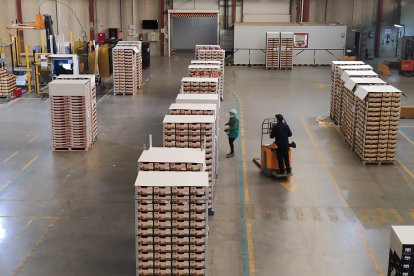 Almacén CASI Aeropuerto.