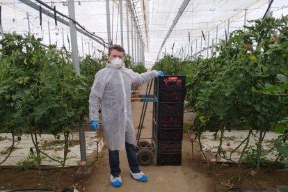 Medidas de seguridad y protección en invernaderos.