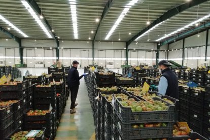 Subasta CASI Partidores