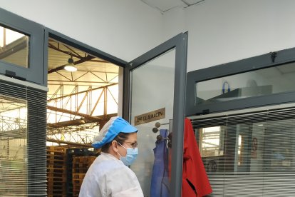 Cooperativa San Isidro Labrador, COPISI.