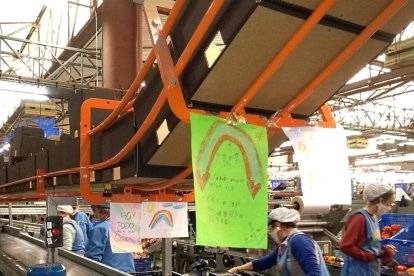 Cooperativa San Isidro Labrador, COPISI.