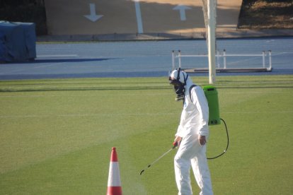 Desinfectando el campo Anexo.