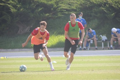 Francis se marcha de Petrovic.