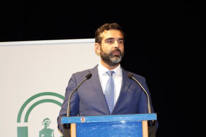 El alcalde de Almería, Ramón Fernández-Pacheco, durante su intervención.
