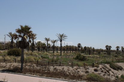 Playa del Toyo, Almería.