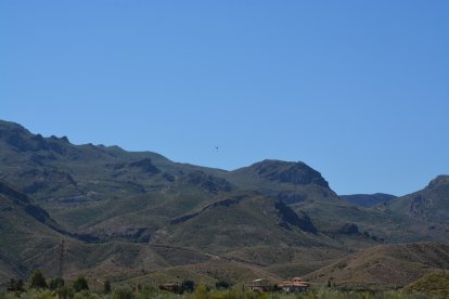 En la extinción han participado hasta 12 medios aéreos, entre aviones de carga en tierra, vigilancia y helicópteros de transporte y extinción semipesados, pesados y ligeros.