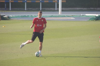 Radosav Petrovic.