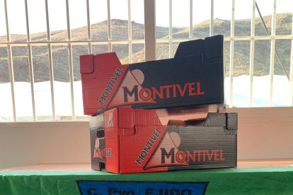 El nuevo escudo del club.