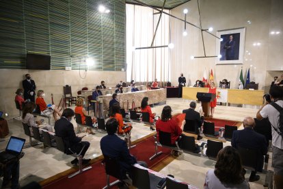María Dolores Durán, durante su intervención en el Ayuntamiento,