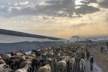 Bisbal ha pasado el verano en Almería y en familia.