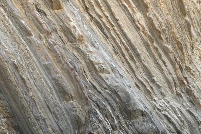 Visitando el Desierto de Tabernas.