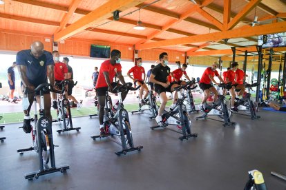 trabajo de forma grupal.