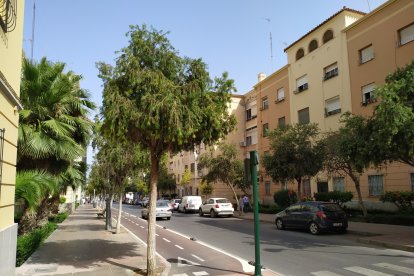 Calle Poeta Paco Aquino en la zona de los pisos de los sindicatos