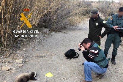 Del total, 2000 finalizan en confección de actas por infracción administrativa.