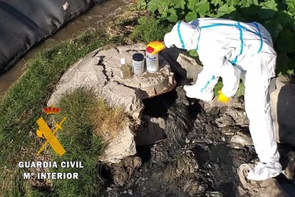 En total hay 57 detenidos e investigados.
