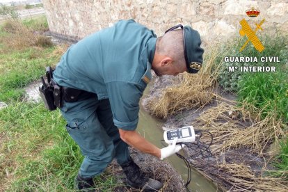Los agentes han desarrollando además una activa función preventiva.