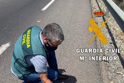 Del total, 2000 finalizan en confección de actas por infracción administrativa.