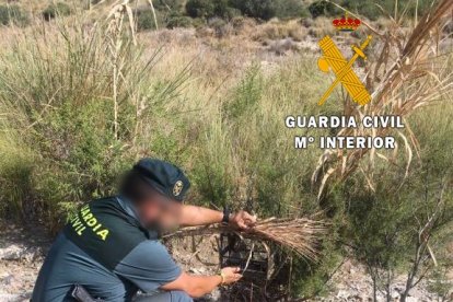 Los agentes han desarrollando además una activa función preventiva.