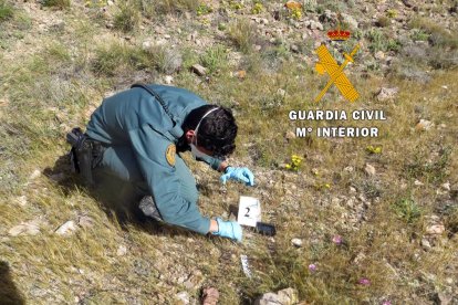Los agentes han desarrollando además una activa función preventiva.