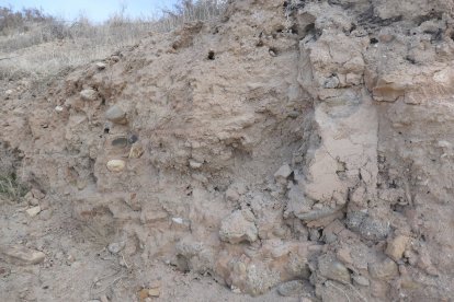 Resto del muro. Fotografía de Ánchel Conte Cazcarro.