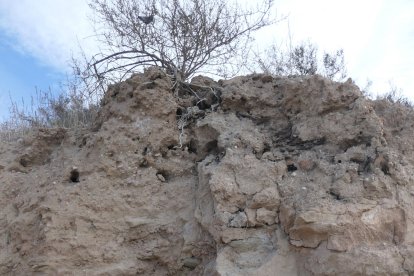 Resto del muro. Fotografía de Ánchel Conte Cazcarro.