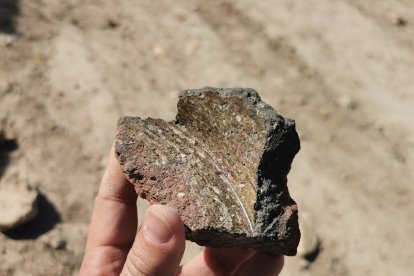 Resto de la cerámica encontrada.