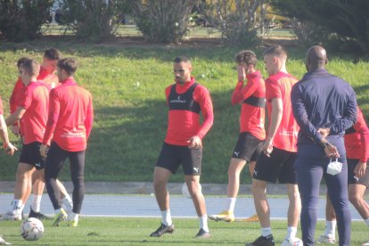 Feliz en el campo Anexo.