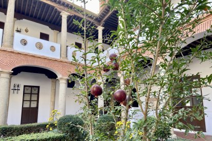 Granadas creciendo en el claustro.