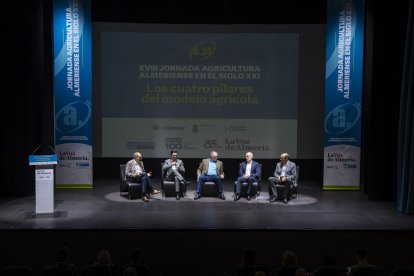 La mesa redonda \'Estrategias para un modelo con futuro\'.