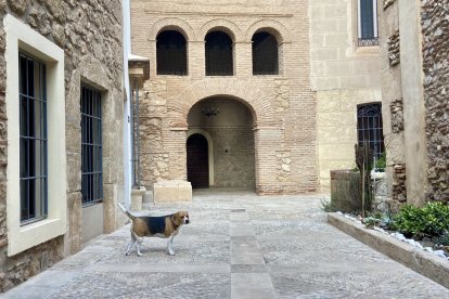 Patio trasero vigilado por el perro guardián del patio interior.