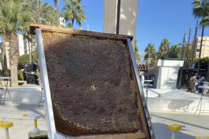 La feria Sabores Almería ha llegado a la Plaza de las Velas.
