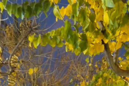 Serón brilla como nunca esta Navidad.