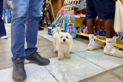 Así han aprovechado los almerienses el puente de la Constitución en la capital.
