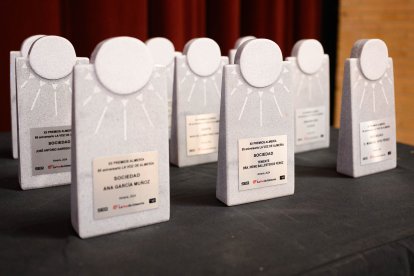 Imagen de los galardones recibidos por los premiados.