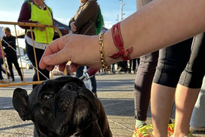 I Marcha Saludable de propietarios y mascotas.