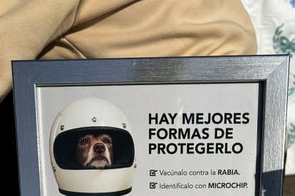 I Marcha Saludable de propietarios y mascotas.