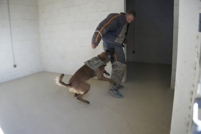 Ejercicio con la unidad canina.