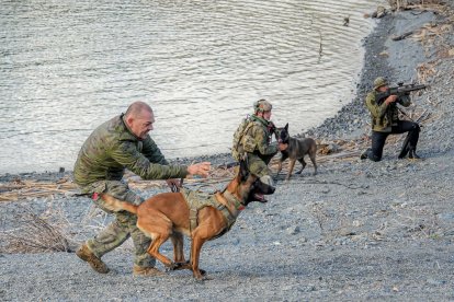 Ejercicio con la unidad canina.