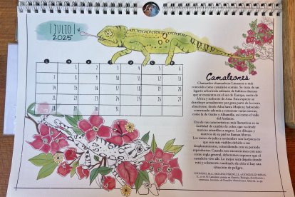 Estampa de julio del calendario.