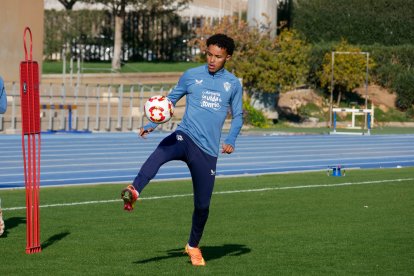 Viene después de un periplo positivo en el Palmeiras.