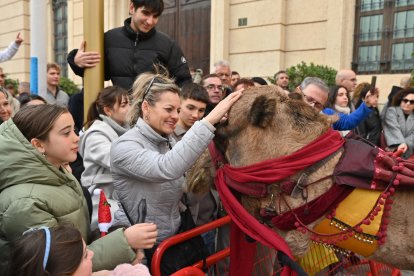 Las mejores imágenes de la Cabalgata de Reyes en Almería.