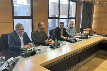 Delegados y el coordinador, en la reunión.