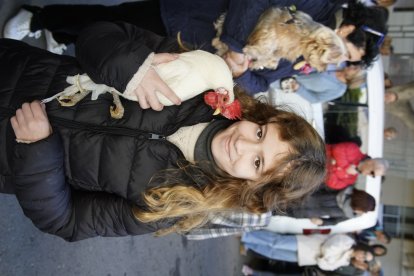 Bendición de los animales.